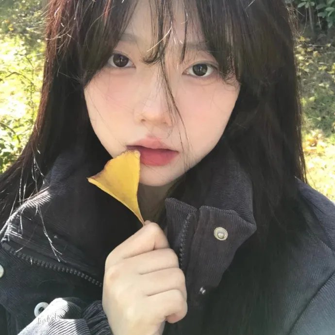 红翼